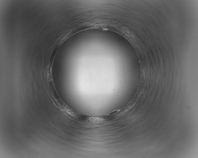 X0000073930429200608111030