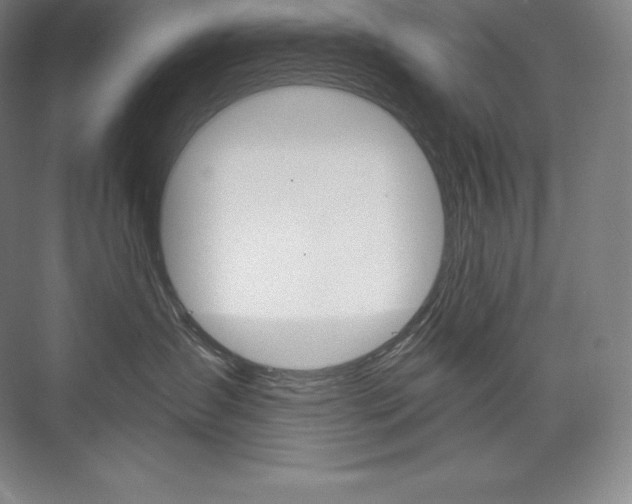 X0000073930431200608111030
