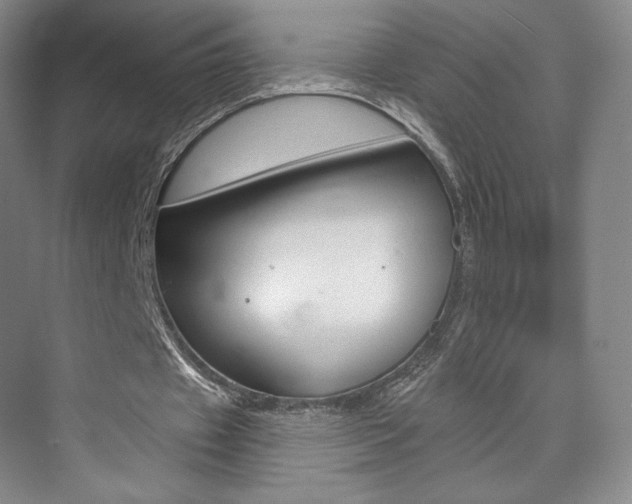 X0000073930433200608111030
