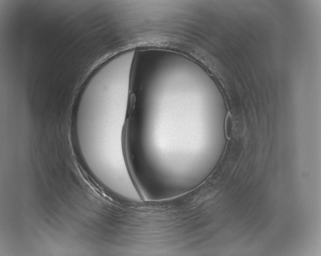 X0000073930434200608111030