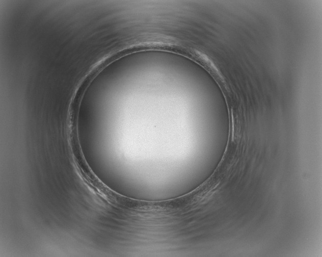 X0000073930435200608111030