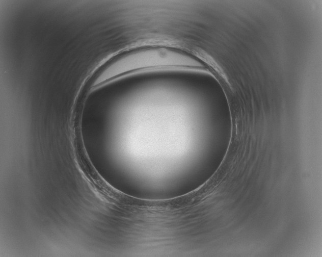 X0000073930436200608111030