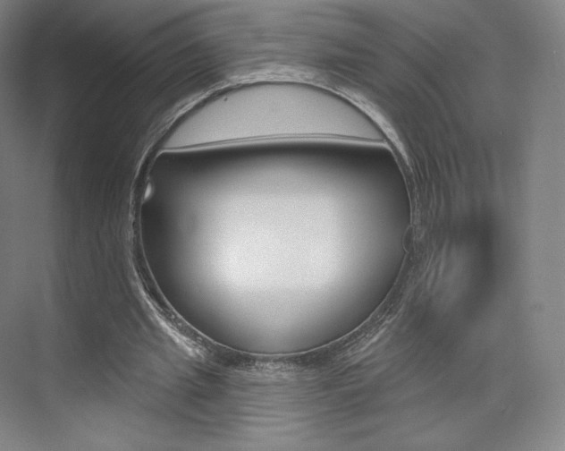 X0000073930437200608111030