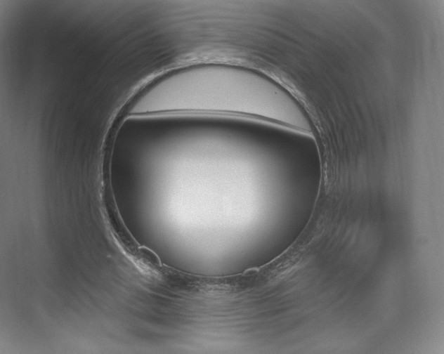 X0000073930438200608111030