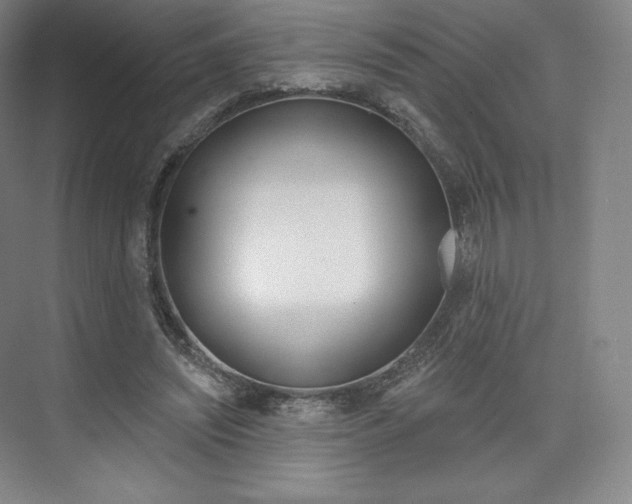 X0000073930444200608111030