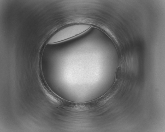 X0000073930445200608111030