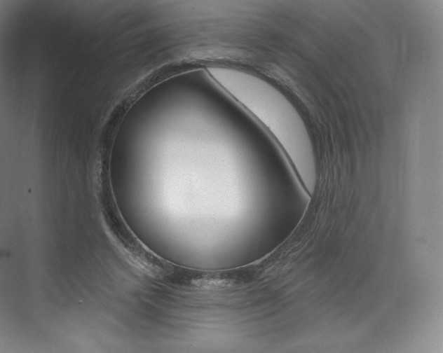 X0000073930448200608111030