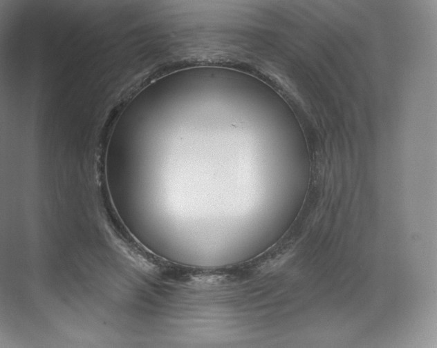 X0000073930450200608111030
