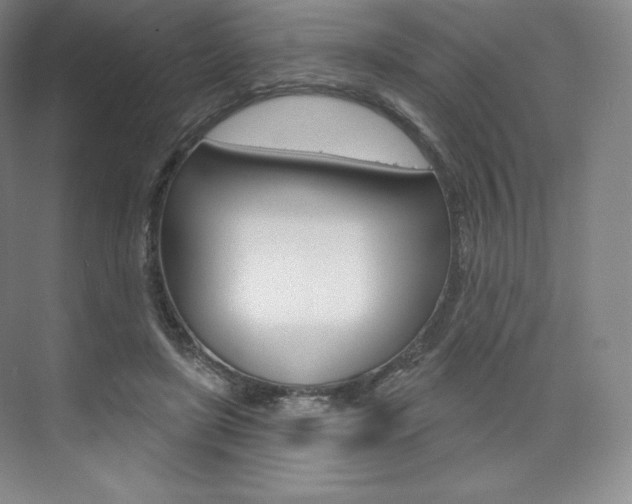 X0000073930451200608111030
