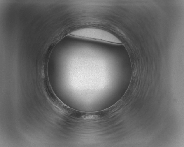 X0000073930452200608111030