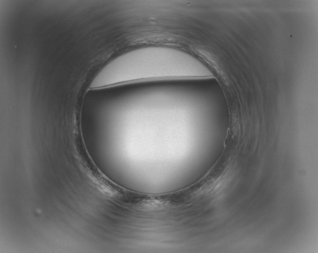 X0000073930453200608111030