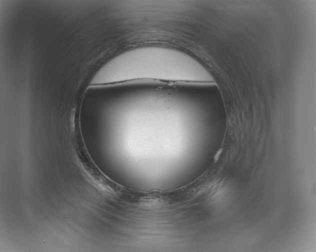 X0000073930454200608111030