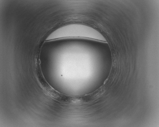 X0000073930456200608111030