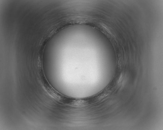 X0000073930459200608111030
