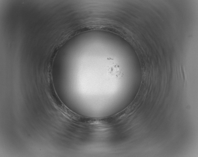 X0000073930460200608111030