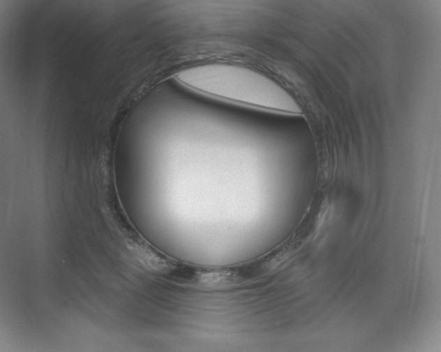 X0000073930461200608111030