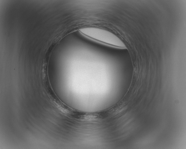 X0000073930462200608111030