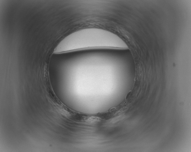 X0000073930463200608111030