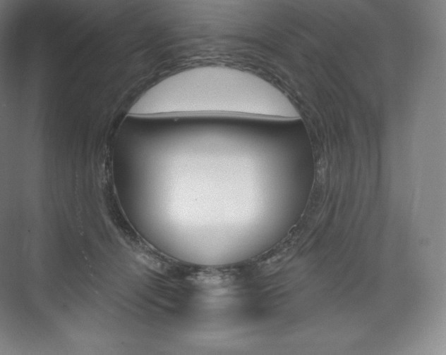 X0000073930464200608111030