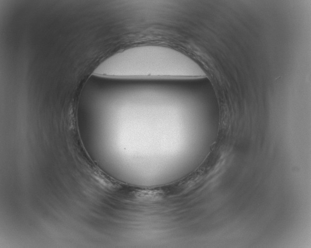 X0000073930465200608111030