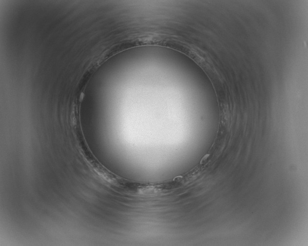 X0000073930470200608111030