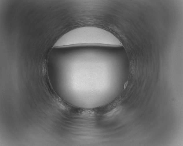 X0000073930471200608111030