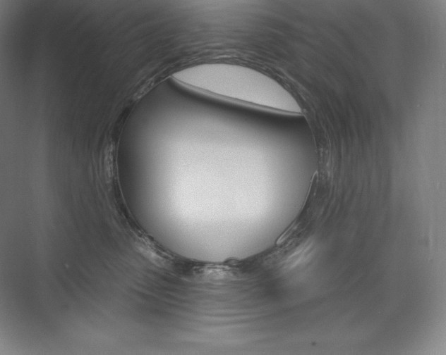 X0000073930475200608111030