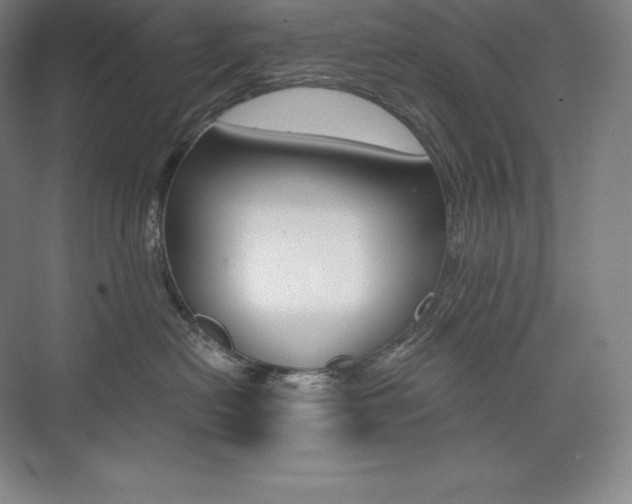 X0000073930478200608111030