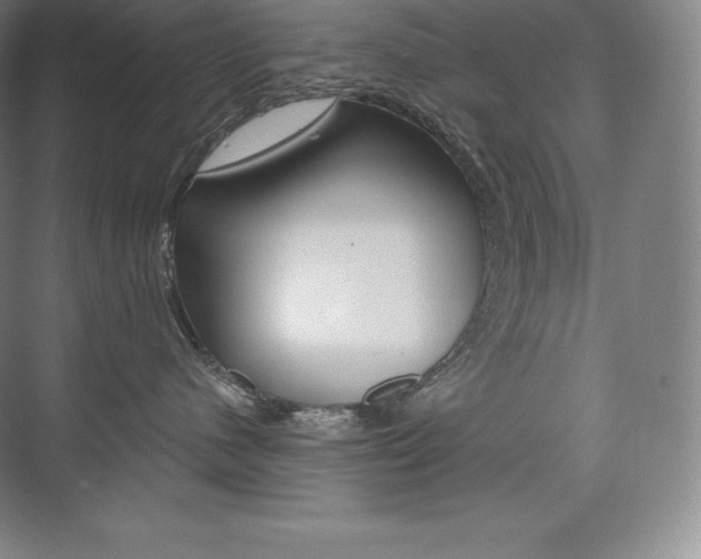 X0000073930480200608111030