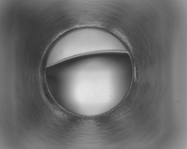 X0000073930483200608111029
