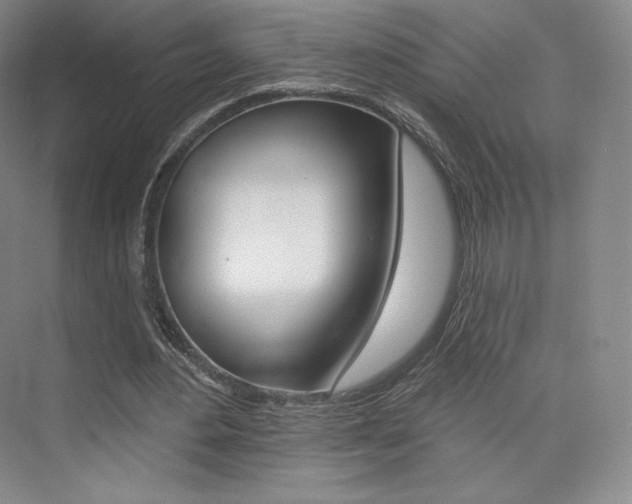 X0000073930484200608111029