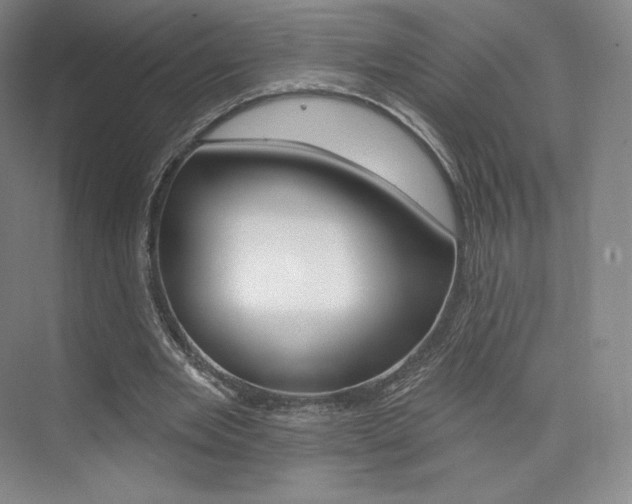 X0000073930485200608111029