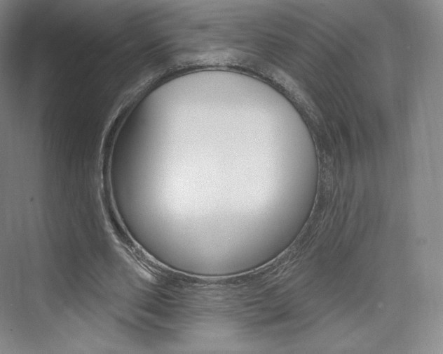 X0000073930486200608111029