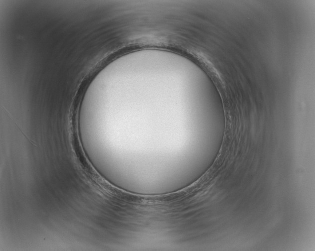 X0000073930487200608111029