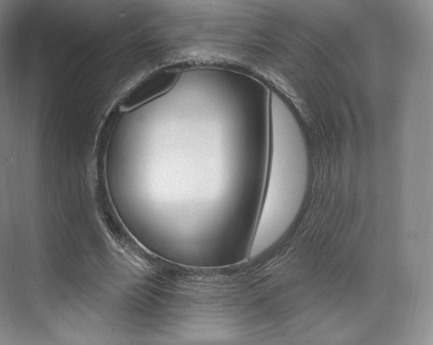 X0000073930488200608111029