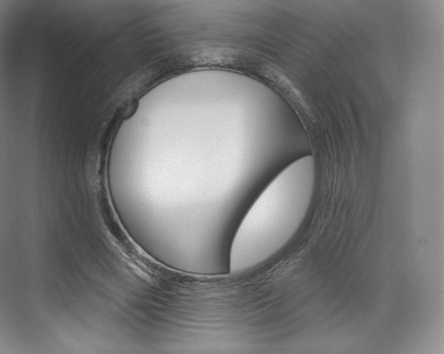X0000073930490200608111029