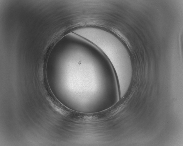 X0000073930493200608111029