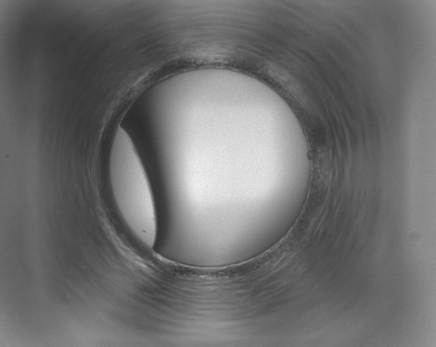X0000073930494200608111029