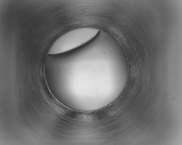 X0000073930498200608111029