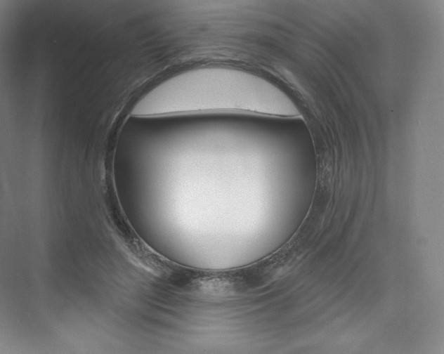 X0000073930500200608111029