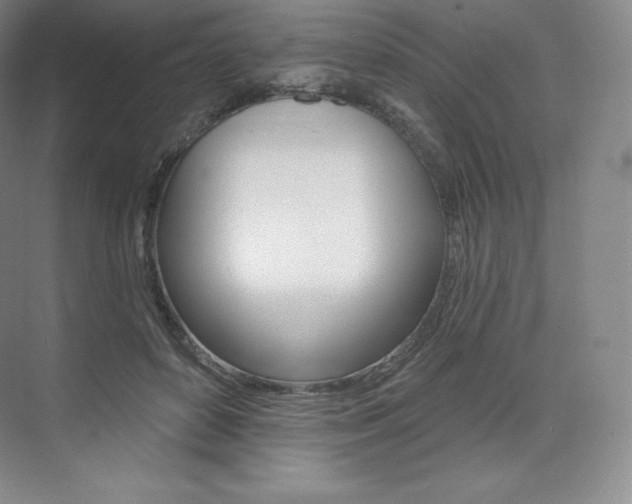 X0000073930504200608111029