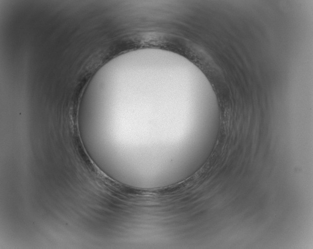 X0000073930506200608111029
