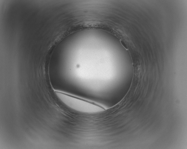 X0000073930508200608111029
