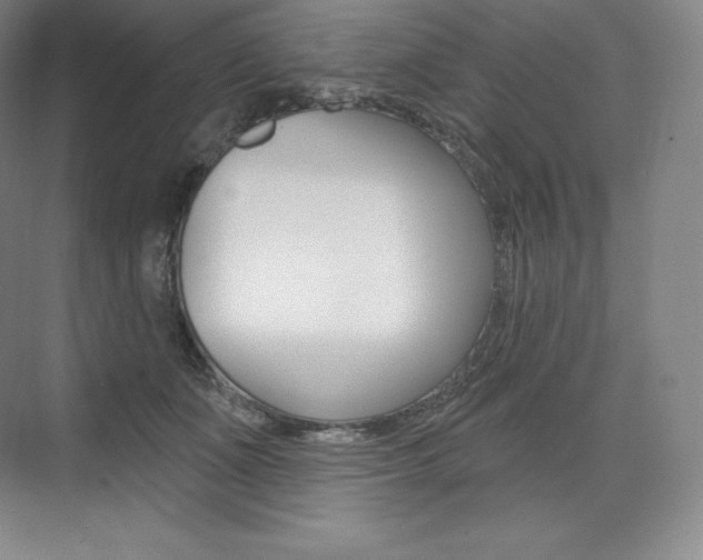 X0000073930511200608111029