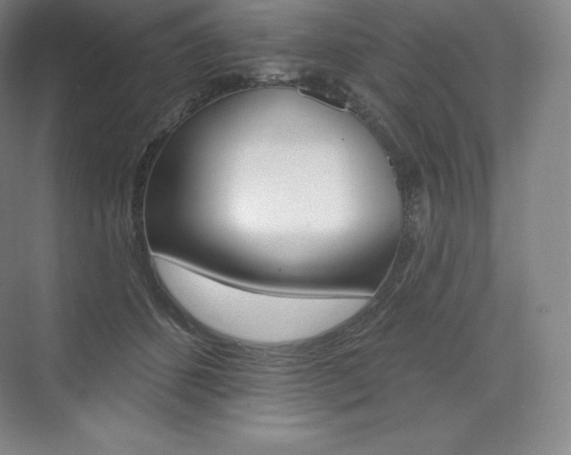 X0000073930512200608111029