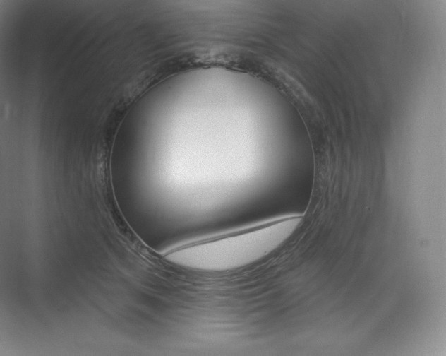 X0000073930513200608111029