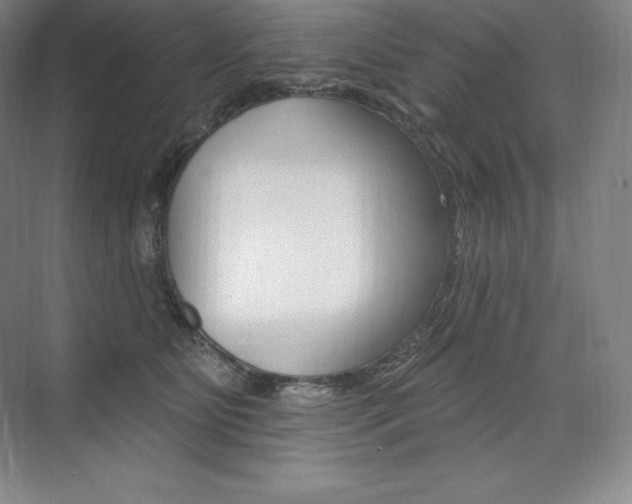 X0000073930515200608111029