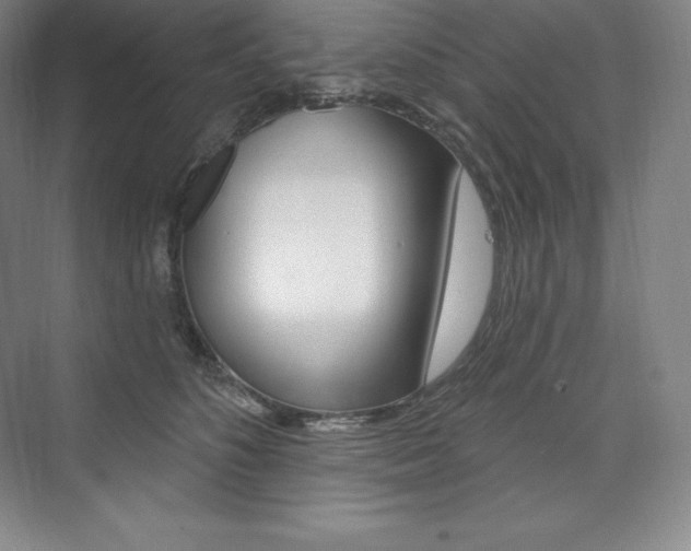 X0000073930516200608111029