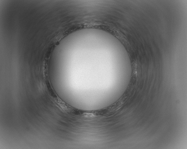 X0000073930519200608111029