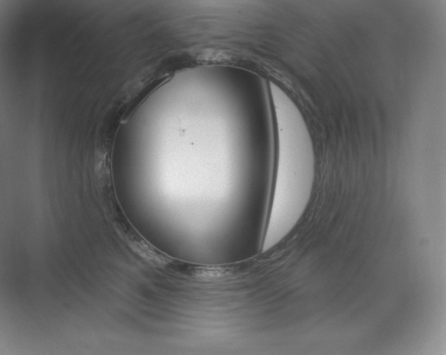 X0000073930521200608111029